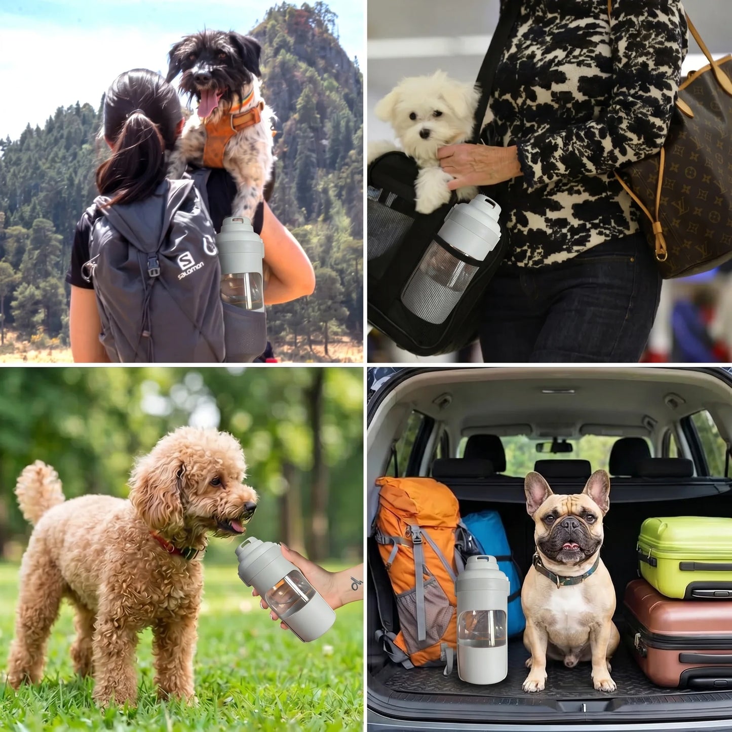 Trotón™ Botella 2 en 1 para Perros